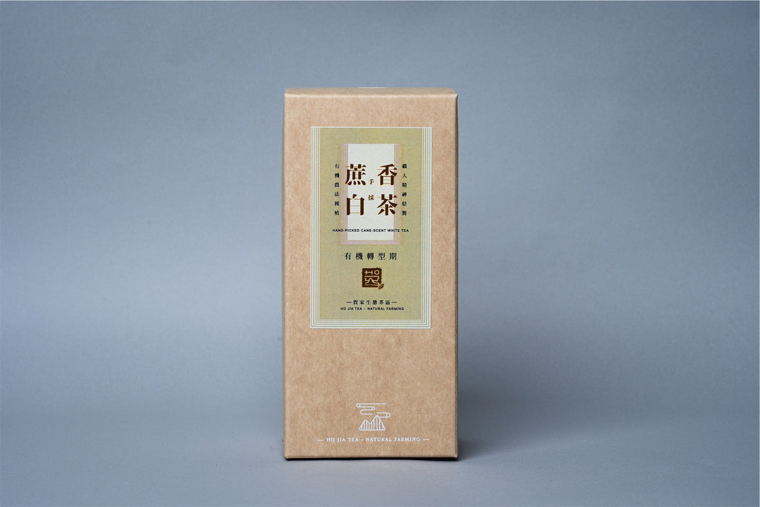 手採蔗香白茶